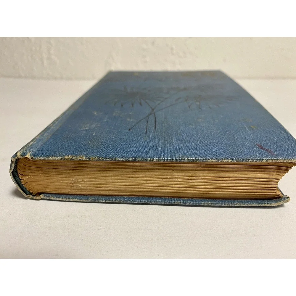 The New Columbus Series Antique Hardcover Book Rob Roy Sir Walter Scott